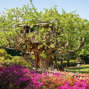 Dream Tree House Glamping